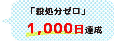 「殺処分ゼロ」1,000日達成